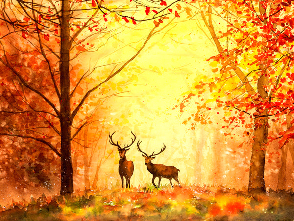 The Autumn Deer