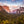 Load image into Gallery viewer, The Great Yosemite