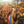 Load image into Gallery viewer, Autumn Highway