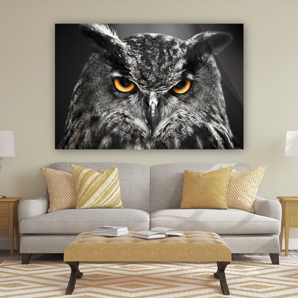 Owl at Night