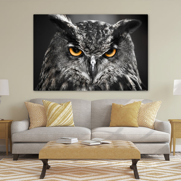 Owl at Night