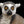 Load image into Gallery viewer, Madagascar Lemur