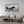 Load image into Gallery viewer, Galloping Horses