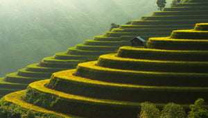 Natural Landscapes. - Artbox Printers