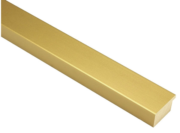 38mm 'Galaxy' Gold FSC 100%