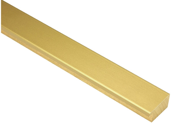 38mm 'Galaxy' Gold FSC 100%