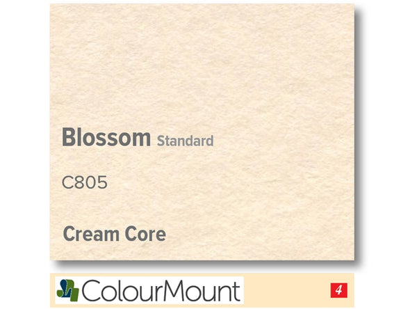 BLOSSOM  - Colourmount Cream Core Standard