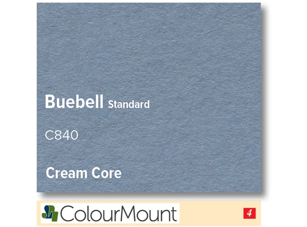 BLUEBELL   - Colourmount Cream Core Standard