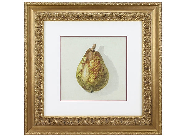 68mm 'Burlington' Old Gold