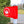Load image into Gallery viewer, Fingerposts
