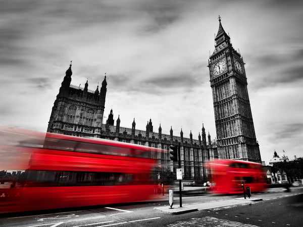 The Red Buses