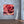 Load image into Gallery viewer, The Red Rose
