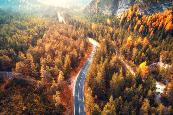 Autumn Highway