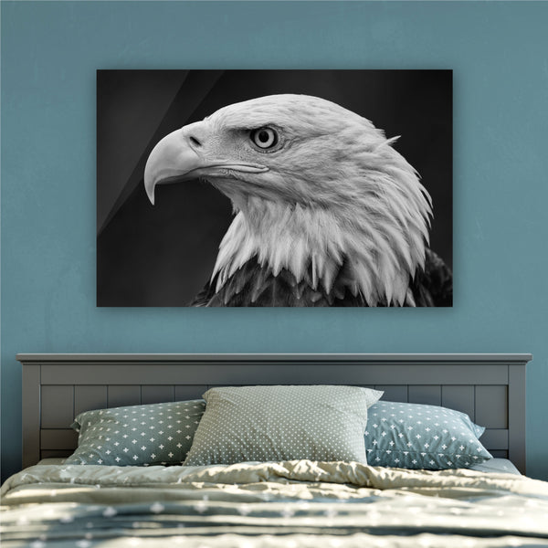 Eagle of America