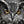 Load image into Gallery viewer, Owl at Night
