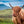 Load image into Gallery viewer, The Highland Cow
