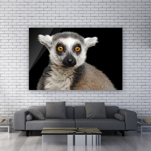 Madagascar Lemur