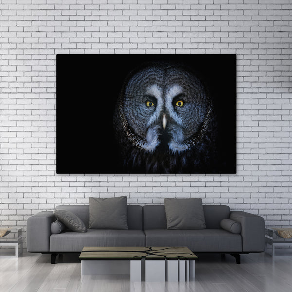 Dark Owl