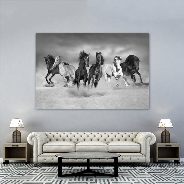 Herd of Horses