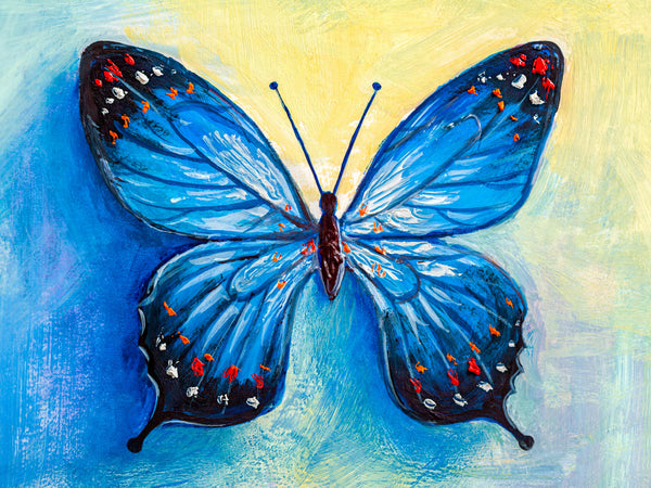 The Blue Butterfly - Artbox Printers